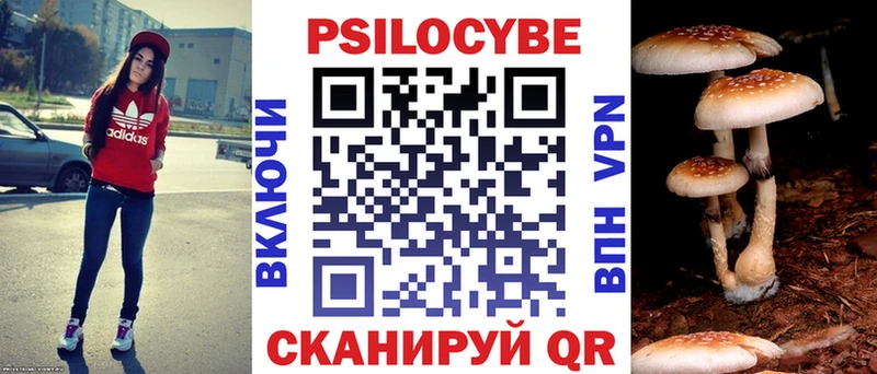 Псилоцибиновые грибы Psilocybine cubensis  купить  цена  Сергач 